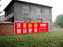 道真如何让墙体广告展现最大化效果