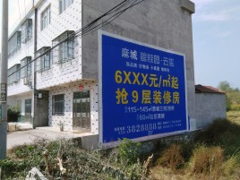 道真墙体广告质量分析