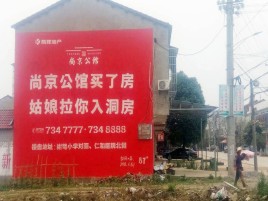 道真墙体广告在乡镇、农村市场的媒体优势
