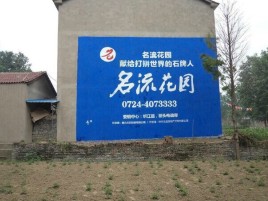 道真农村墙体广告的长尾效应
