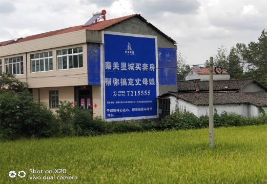 道真决定墙体广告价格的因素有哪些?