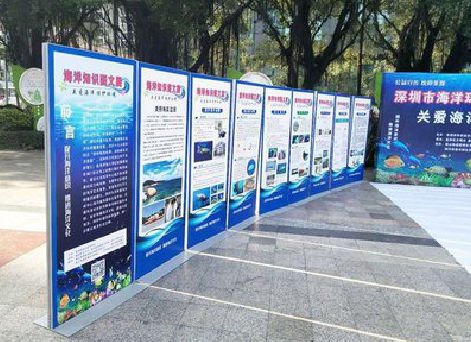 道真KT板的种类和知识。